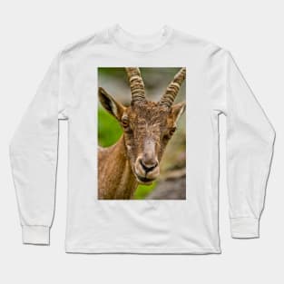 Ibex Long Sleeve T-Shirt